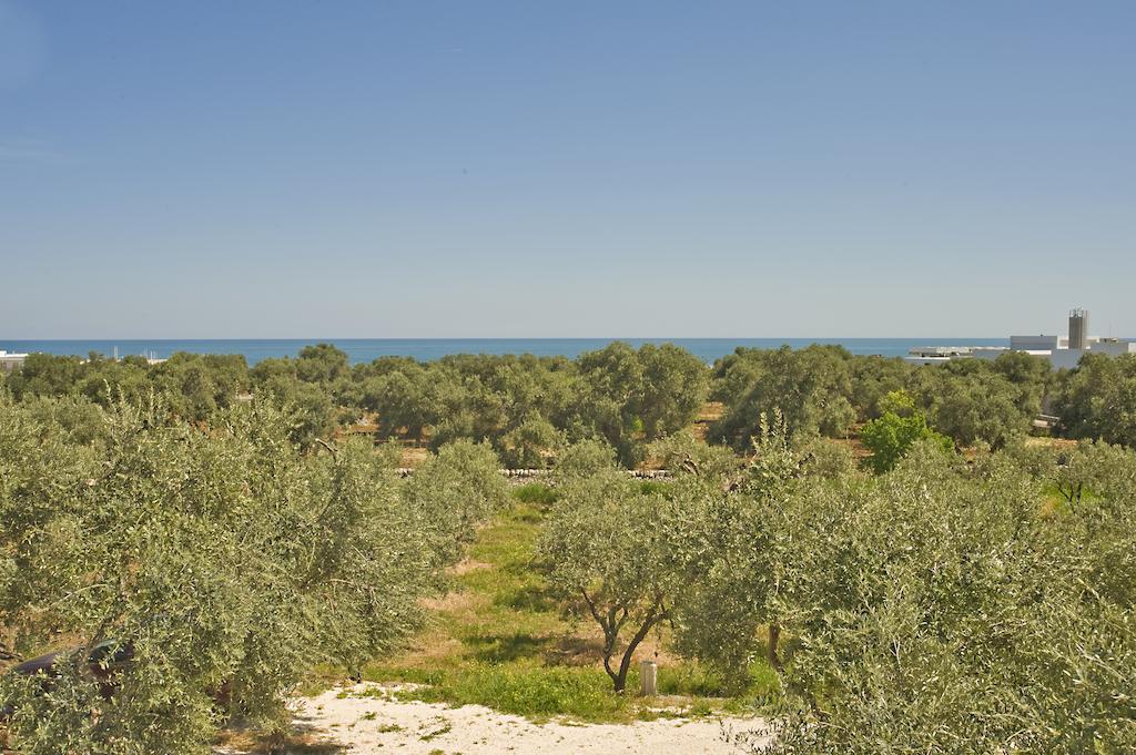 Masseria Spina Resort Monopoli Habitación foto